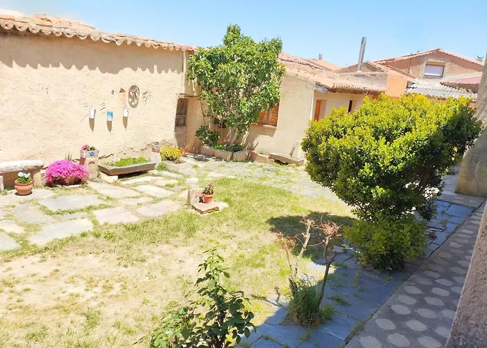 La Paloma - Zamora *